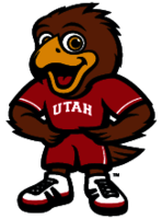 Swoop
